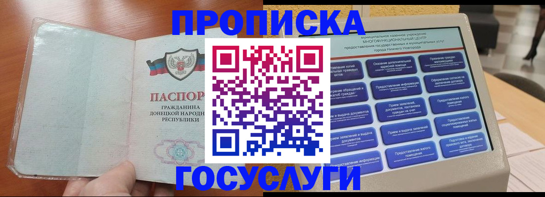 временная регистрация поиск в Светлогорске